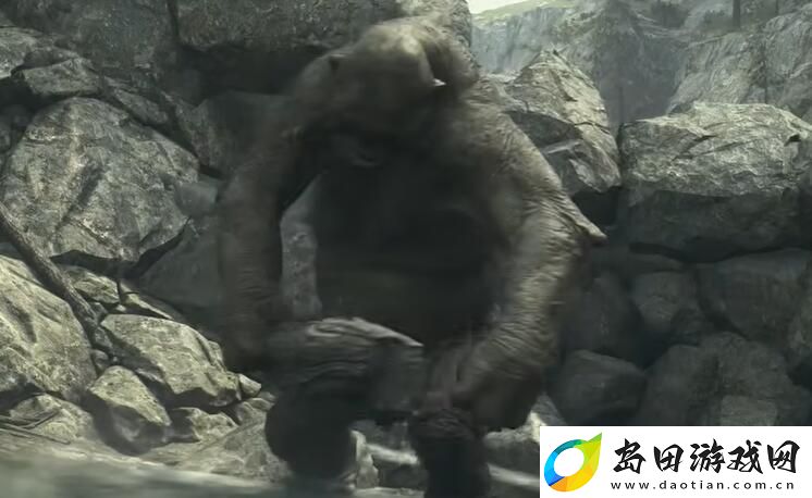 龙之信条2前往都城任务怎么做
