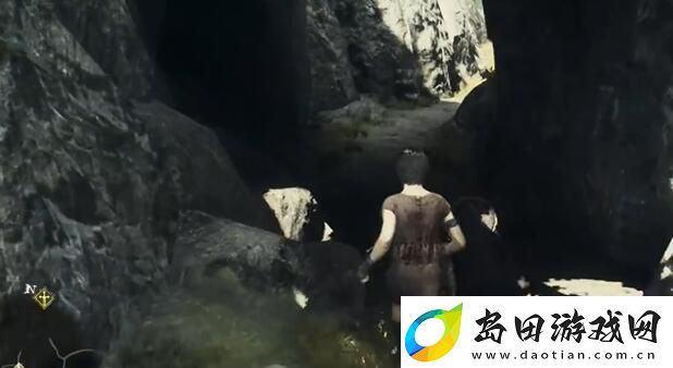 龙之信条2兄弟的努力任务怎么做