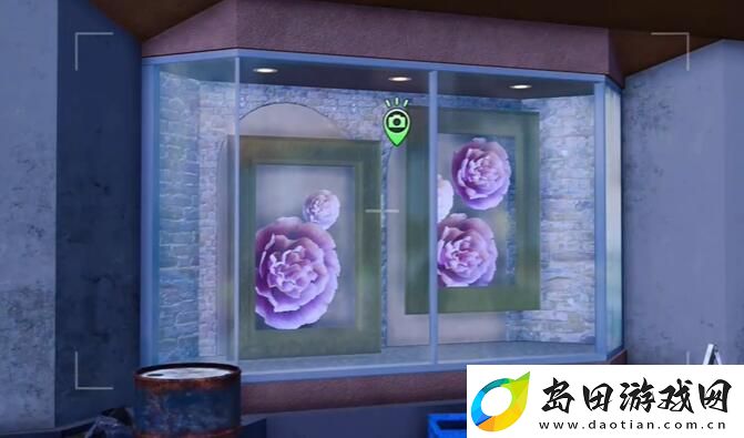 如龙8摄影巡回赛鲜花显示器在哪