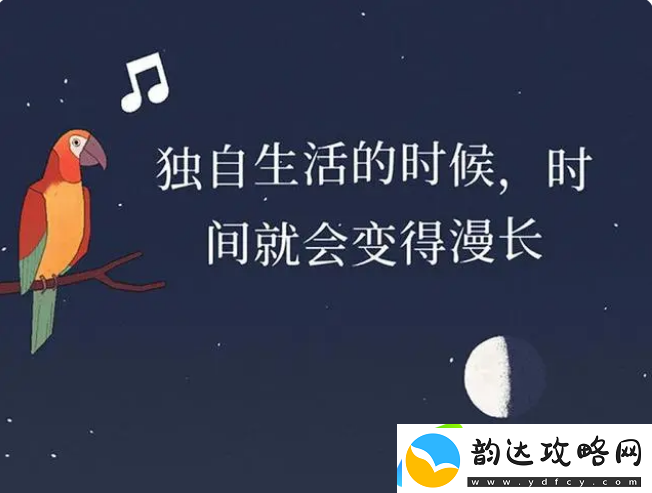 孤独的鸟儿死了怎么重新开始