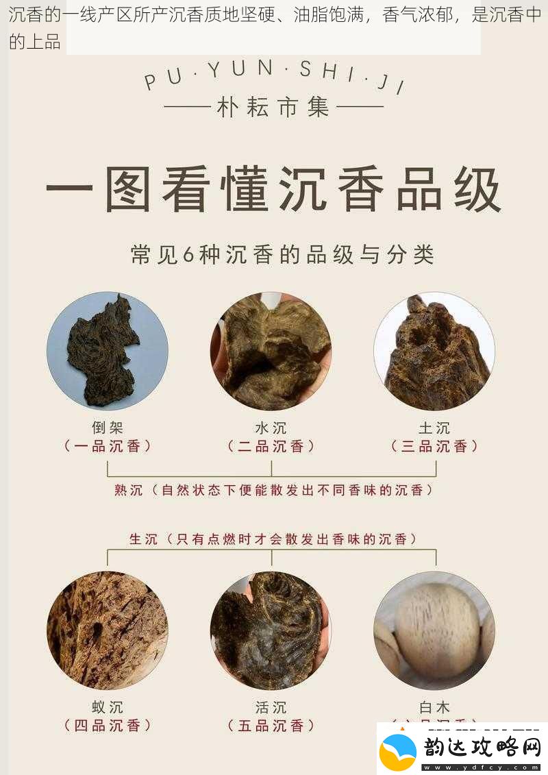 沉香的一线产区所产沉香质地坚硬、油脂饱满