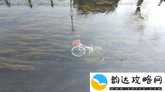 共享单车被丢河里每月可捞数百辆