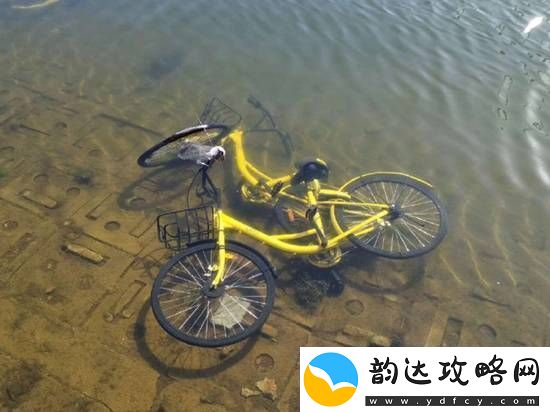 共享单车被丢河里每月可捞数百辆
