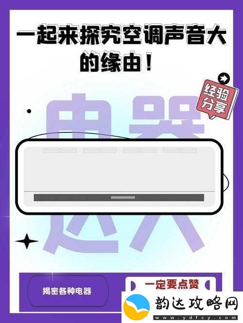 沈阳大姨的声音为何那般好听之缘由探究