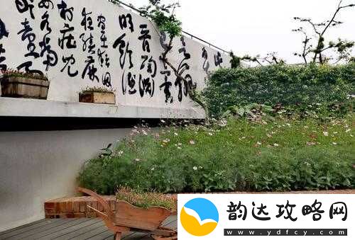 小青楼短视频