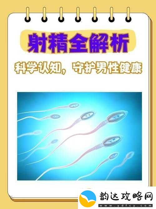 关于WWW**高潮的独特体验与探讨