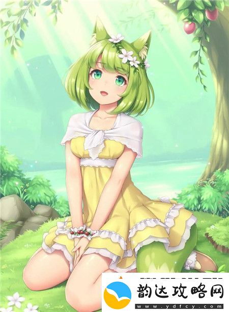 厨房春潮莲花坐顶