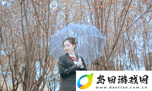 羞羞视频的背后