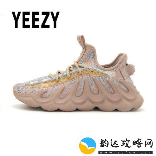 国产Yeezy451网友
