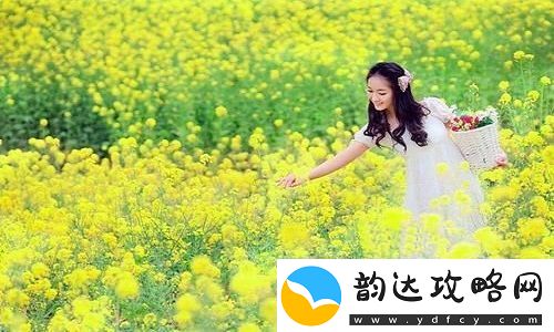 10款成品短视频app下载安装