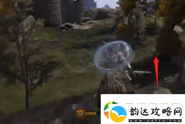 艾尔登法环划空癫火如何获取