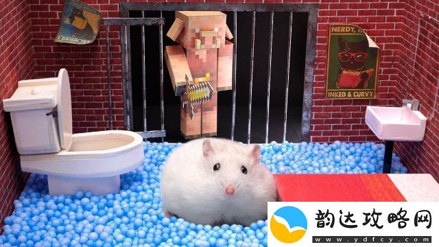 小仓鼠勇闯恐怖医院迷宫