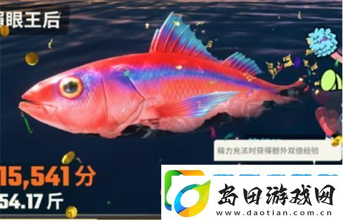 欢乐钓鱼大师怎么快速升级