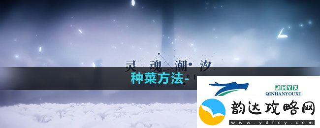 灵魂潮汐怎么种菜