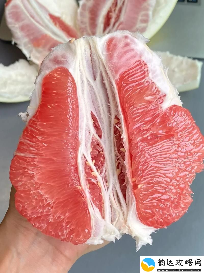多功能蜜柚6.6