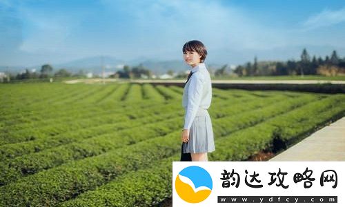 三个男人躁我一个爽