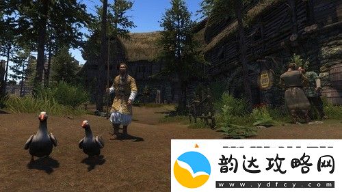 骑马与砍杀2选择什么样的老婆最好