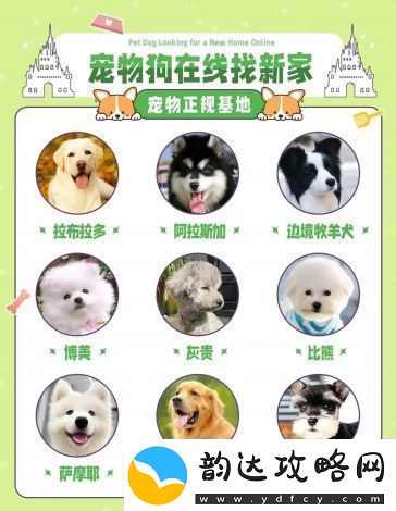 萌宠养成物语qq群