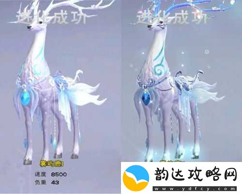 创造与魔法