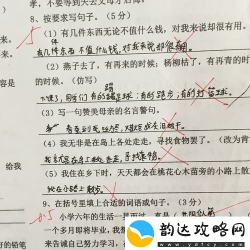 写作业错一题就插一下——学习中的点滴反思