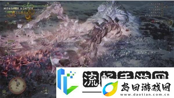 怪物猎人荒野测试版怪物弱点汇总