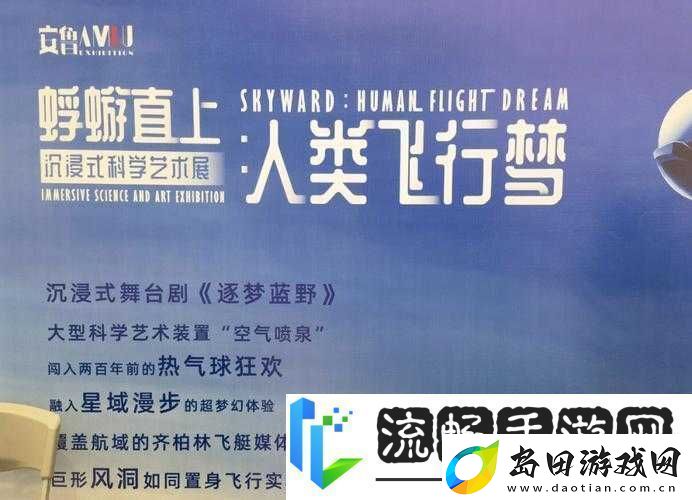 梦想新大陆护航玩法究竟有何魅力