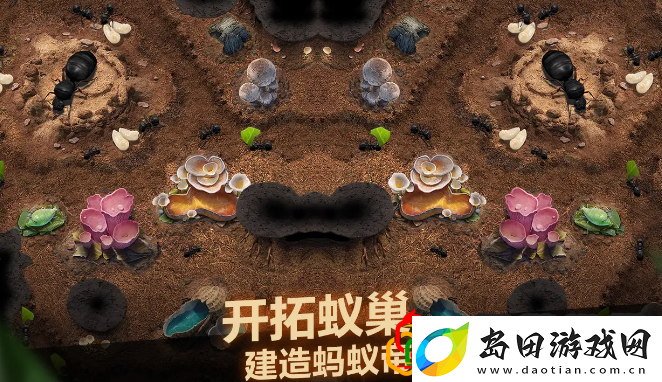 小小蚁国未知地区怎么解锁