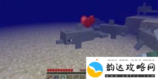 我的世界海豚有什么用
