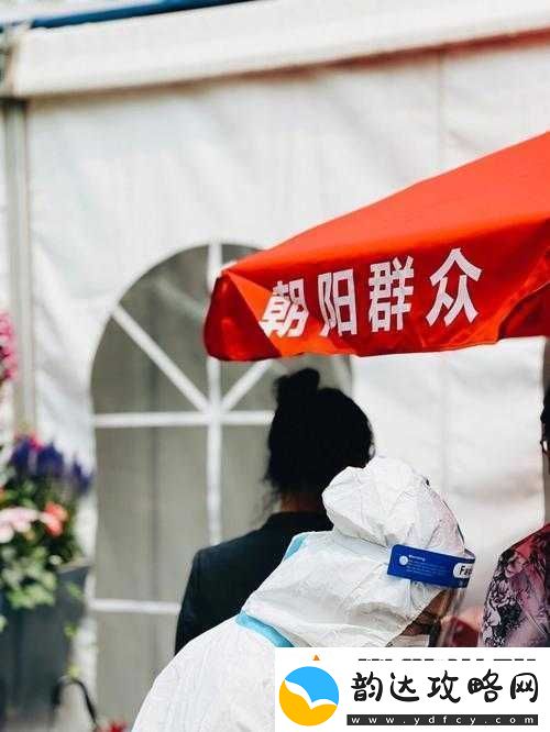热心的朝阳群众