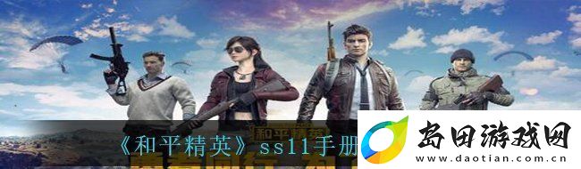 和平精英ss11手册枪皮肤是什么ss11手册枪皮肤一览