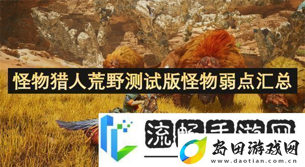 怪物猎人荒野测试版怪物弱点汇总