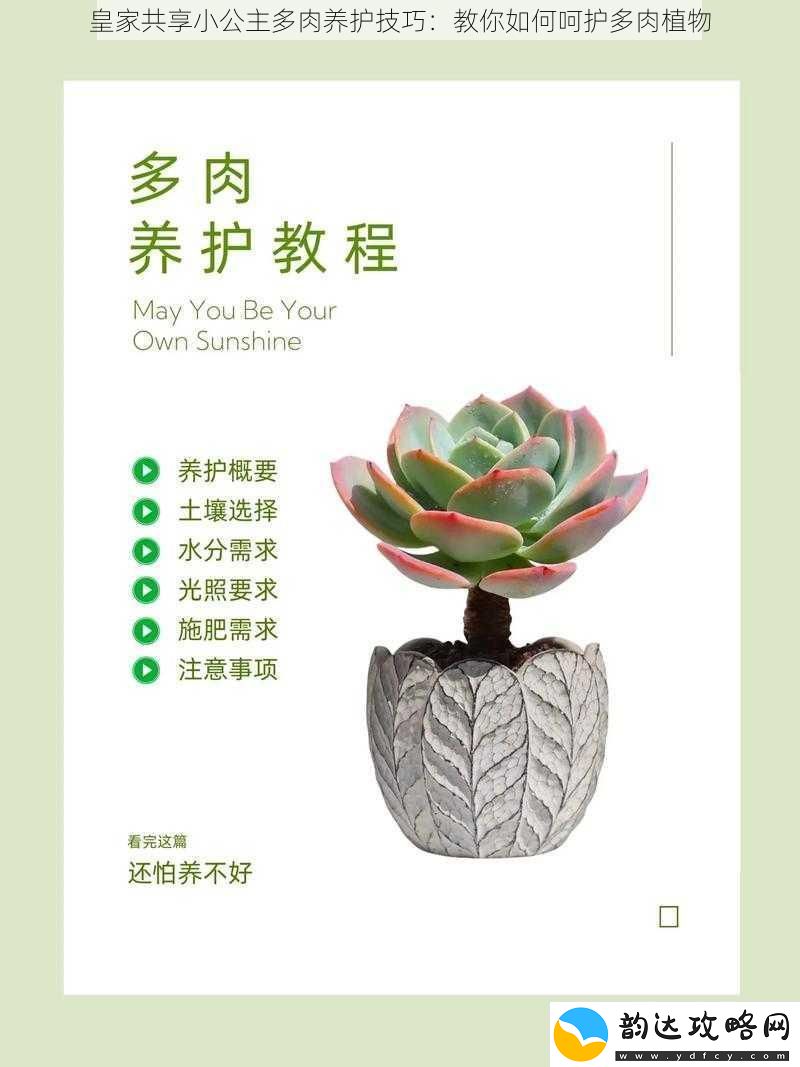 皇家共享小公主多肉养护技巧