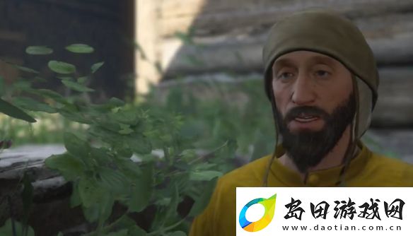 天国拯救2原始材料任务怎么做