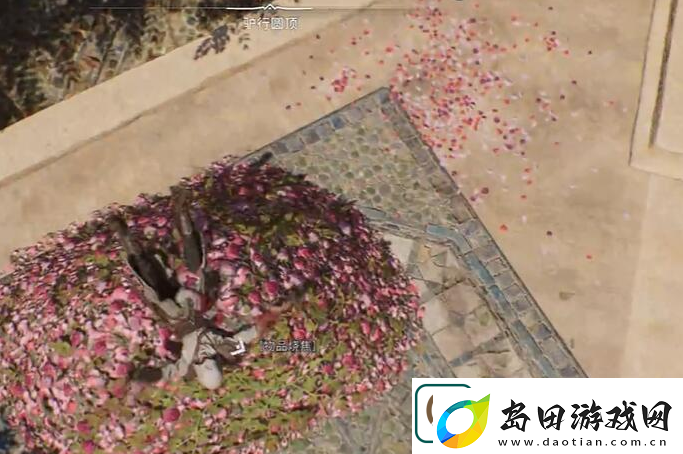 刺客信条幻景植物学家合约怎么做