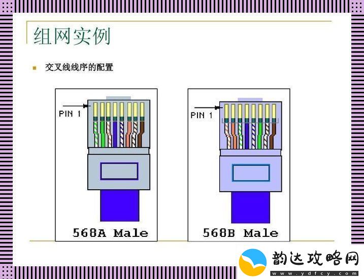 交叉线线序乱弹
