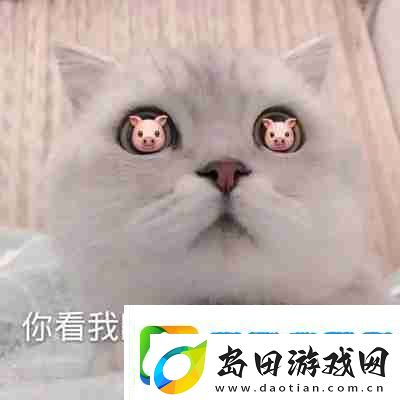 兜风吗妹妹表情包