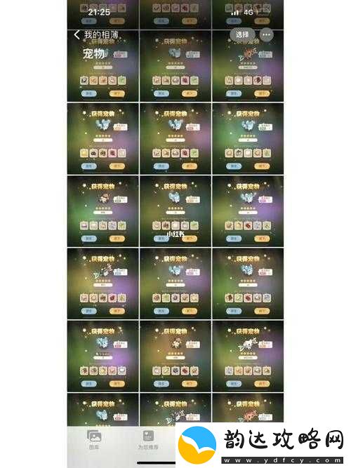 奥比岛梦想国度深度解析