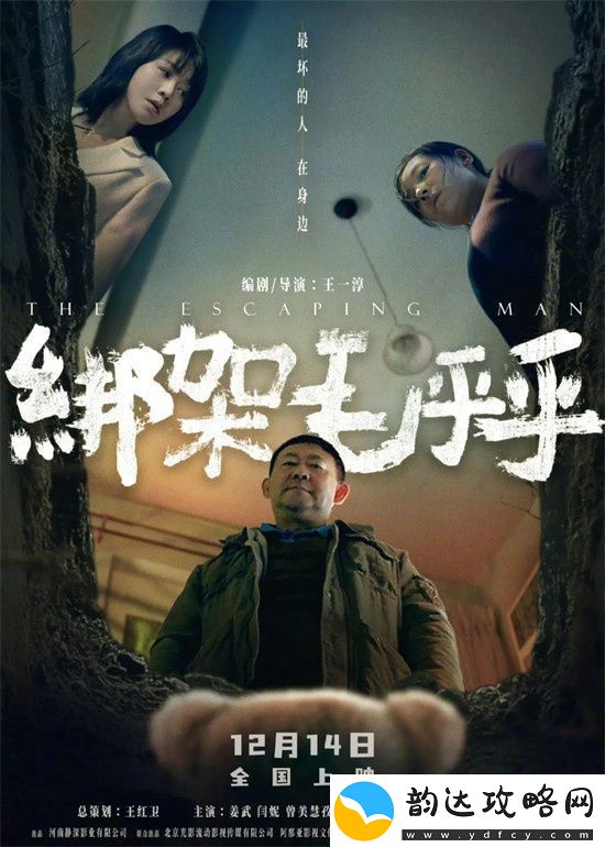 甄子丹肖央金晨携12月最强片单