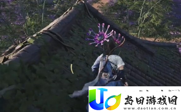 燕云十六声花海蹊跷位置大全