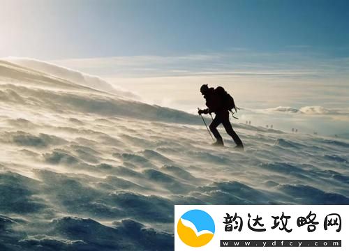 如何在逆境中寻找突破
