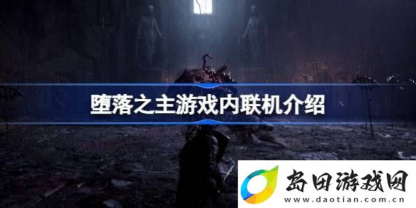 堕落之主可以联机吗