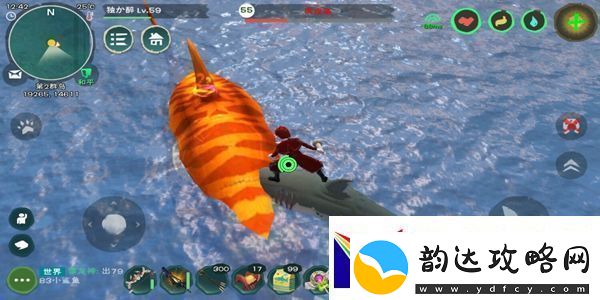 创造与魔法虎皮鲨捕捉攻略