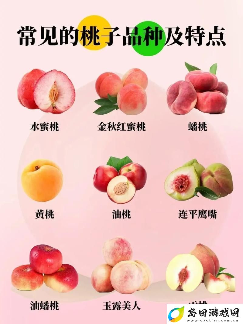 沁人心脾的水蜜桃2最经典的一句