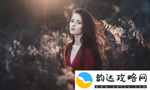 韩国理论大全