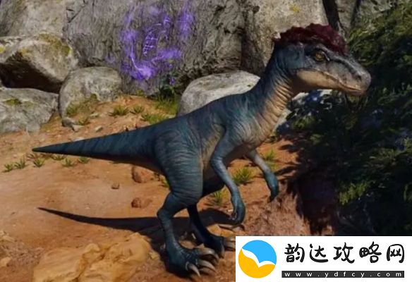 博德之门3荣誉模式存档方法介绍