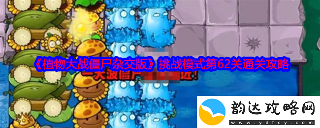 植物大战僵尸杂交版挑战模式第62关详细通关技巧与策略分享