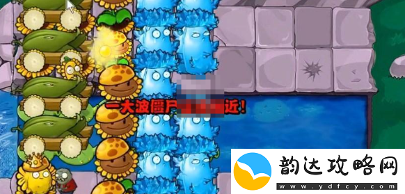 植物大战僵尸杂交版挑战模式第62关详细通关技巧与策略分享