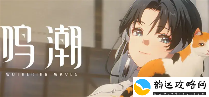 鸣潮1卡池角色有哪些鸣潮1卡池角色介绍