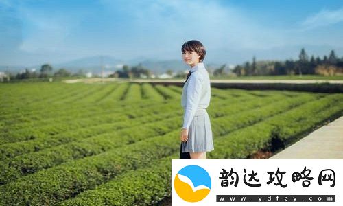 东宫禁脔H**网友热评