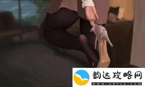 从阳台干到厨房从卧室到客厅好吗网友热议